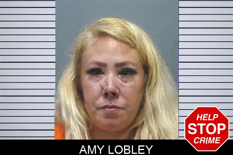 Amy Lobley mugshot – Cherokee County , Georgia Amy Lobley mugshot