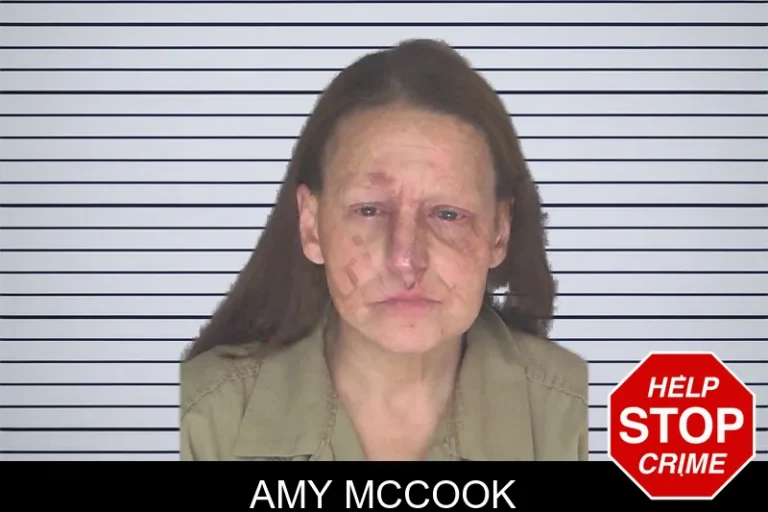 Amy McCook