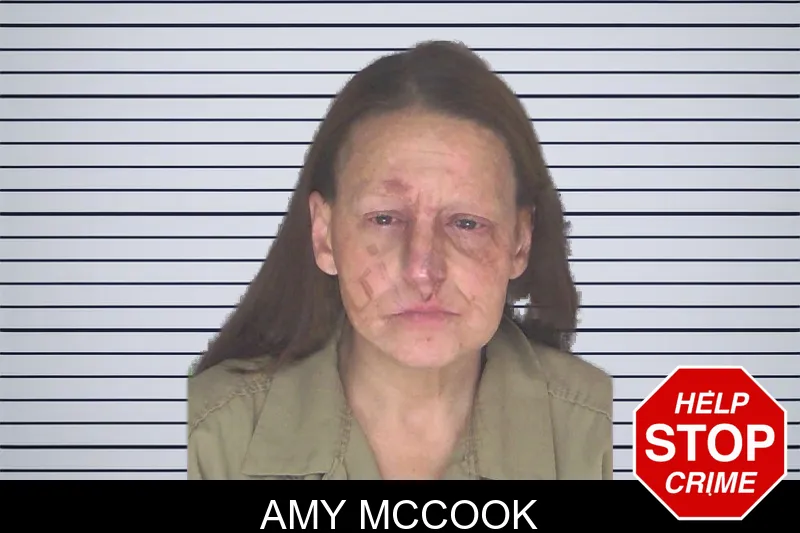 Amy McCook mugshot
