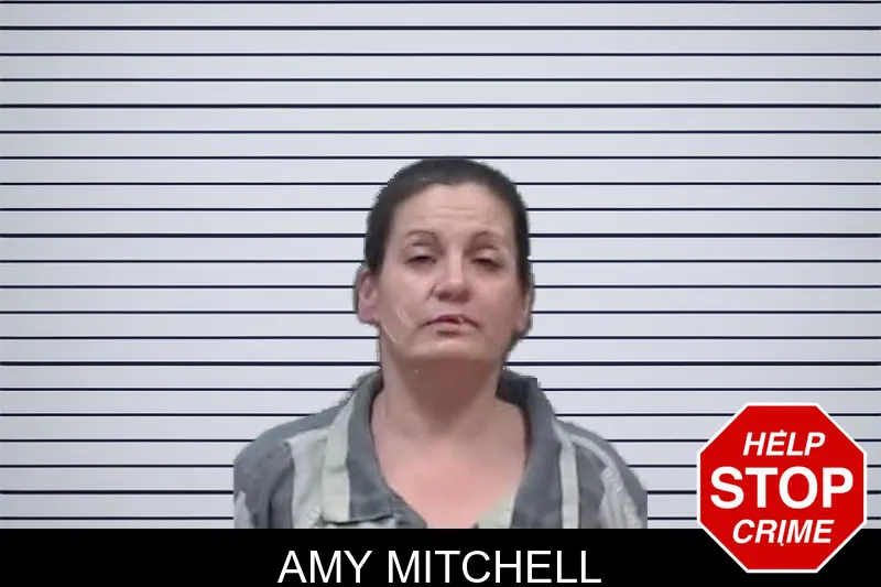 Amy Mitchell mugshot
