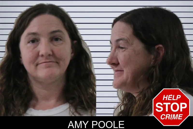 Amy Poole mugshot