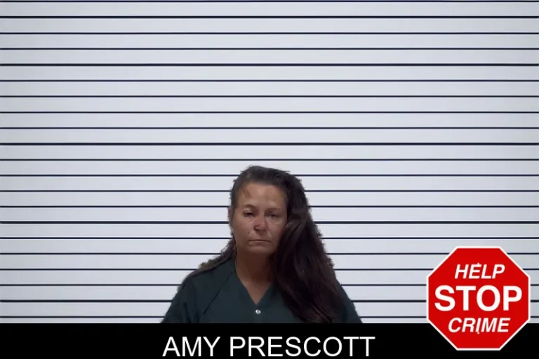 Amy Prescott mugshot – Irwin County , Georgia Amy Prescott
