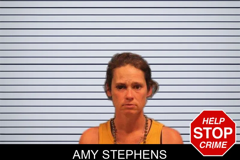 Amy Stephens mugshot – Monroe County , Georgia Amy Stephens mugshot