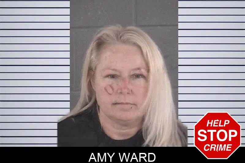 Amy Ward mugshot