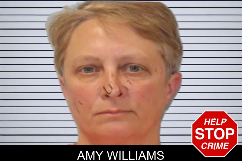 Amy Williams mugshot