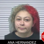 Ana Hernandez mugshot