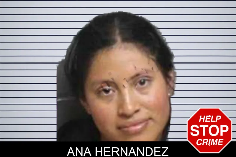 Ana Hernandez mugshot