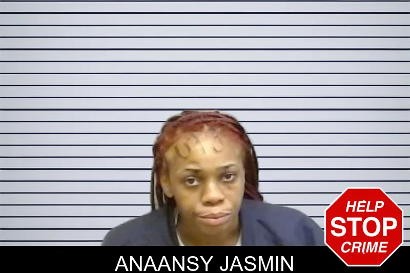 Anaansy Jasmin mugshot