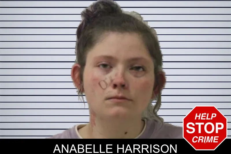 Anabelle Harrison mugshot
