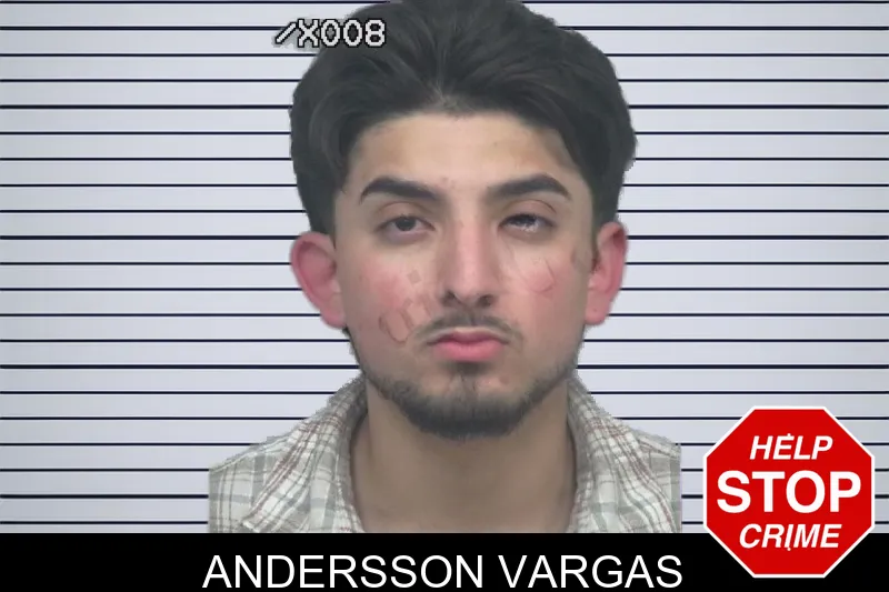 Andersson Vargas mugshot