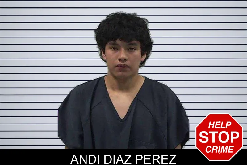 Andi Diaz Perez mugshot