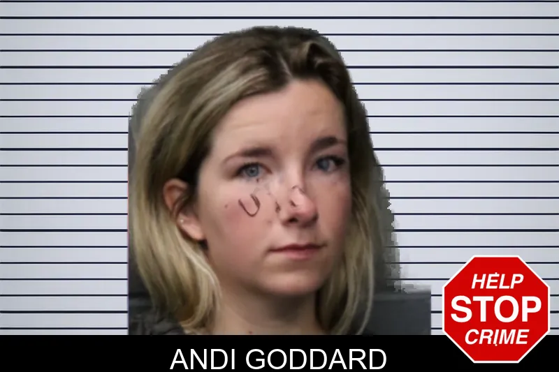 Andi Goddard mugshot