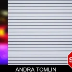 Andra Tomlin mugshot