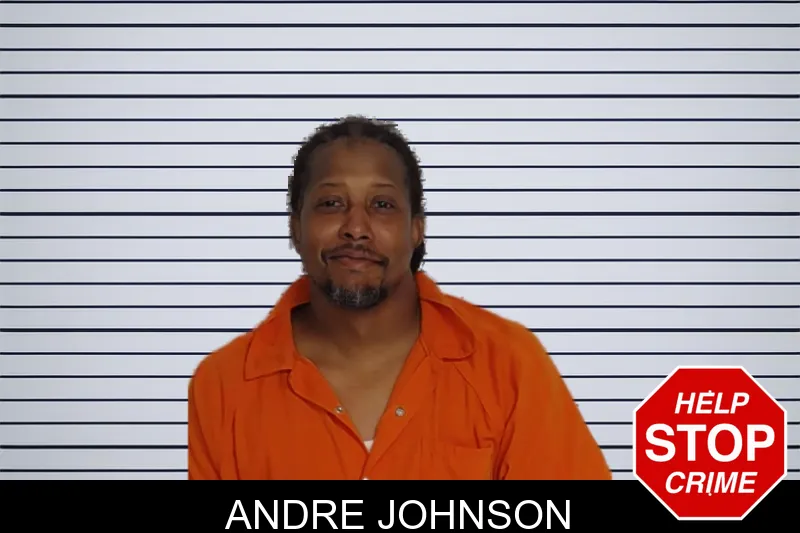 Andre Johnson mugshot