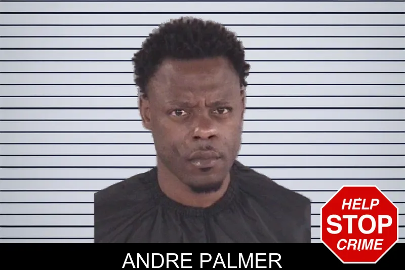 Andre Palmer mugshot