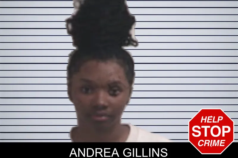 Andrea Gillins mugshot