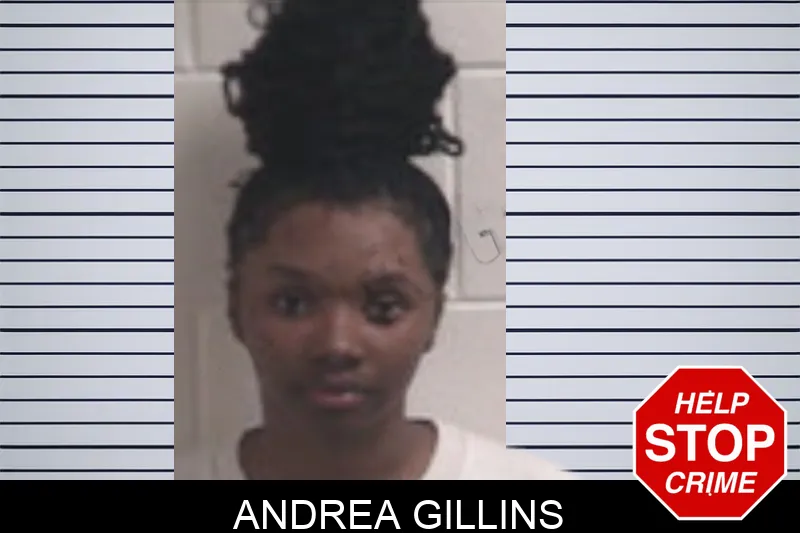 Andrea Gillins mugshot – Henry County , Georgia Andrea Gillins mugshot