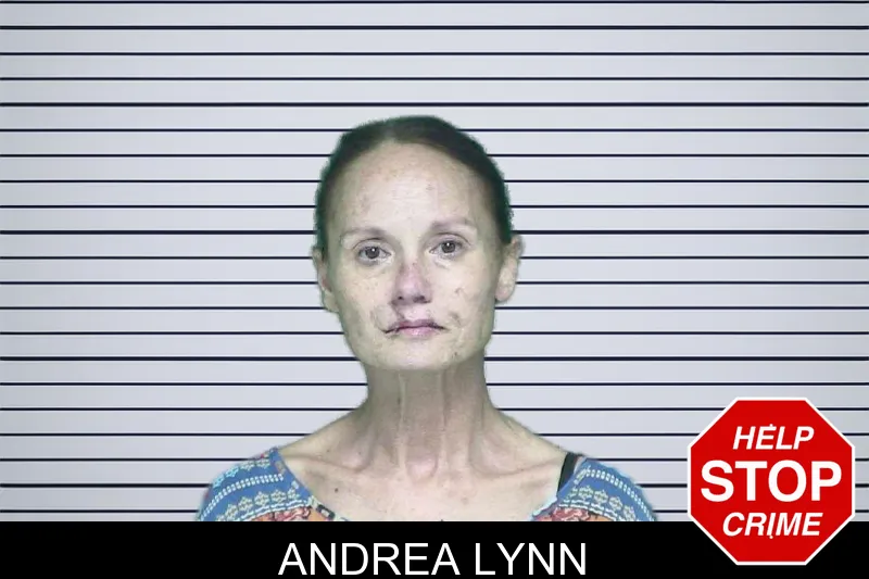 Andrea Lynn mugshot