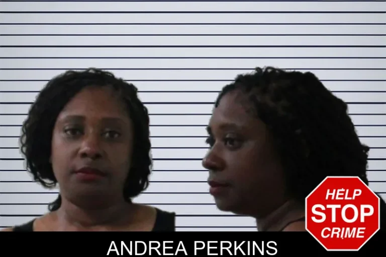 Andrea Perkins