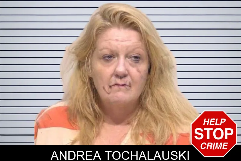 Andrea Tochalauski mugshot – Bartow County , Georgia Andrea Tochalauski mugshot