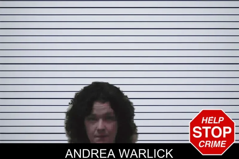 Andrea Warlick