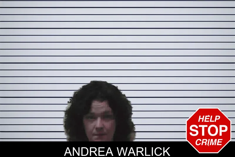 Andrea Warlick mugshot – Meriwether County , Georgia Andrea Warlick mugshot