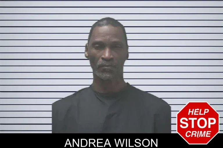 Andrea Wilson