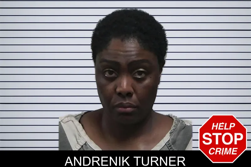 Andrenik Turner mugshot