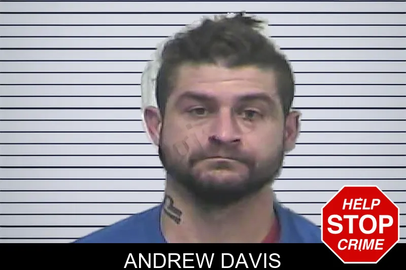 Andrew Davis mugshot