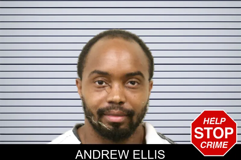 Andrew Ellis mugshot