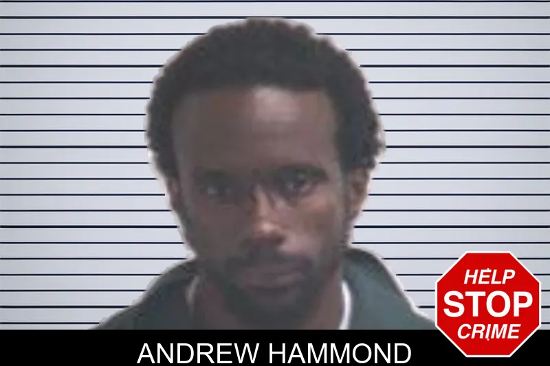 Andrew Hammond mugshot – Henry County , Georgia Andrew Hammond mugshot