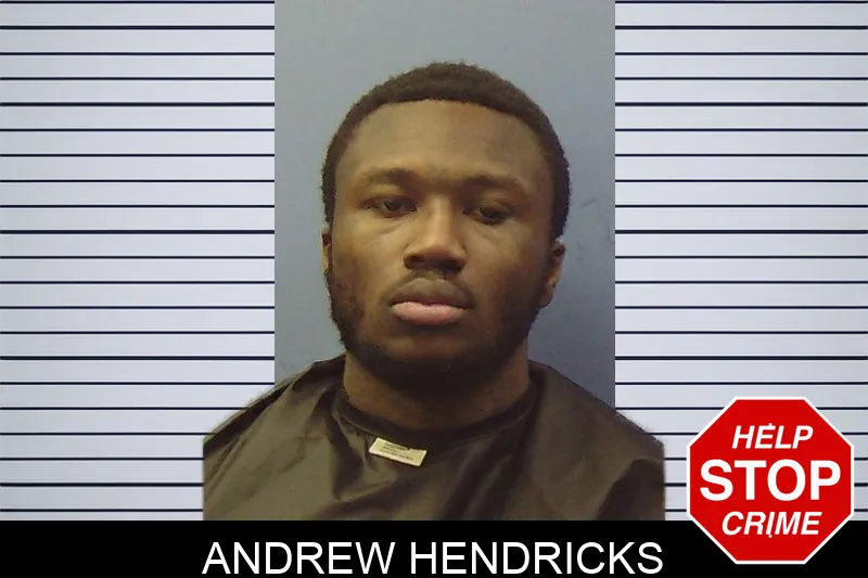 Andrew Hendricks mugshot