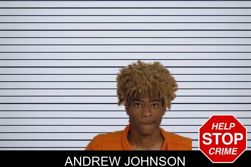 Andrew Johnson mugshot