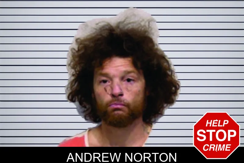 Andrew Norton mugshot