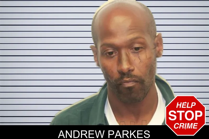 Andrew Parkes mugshot