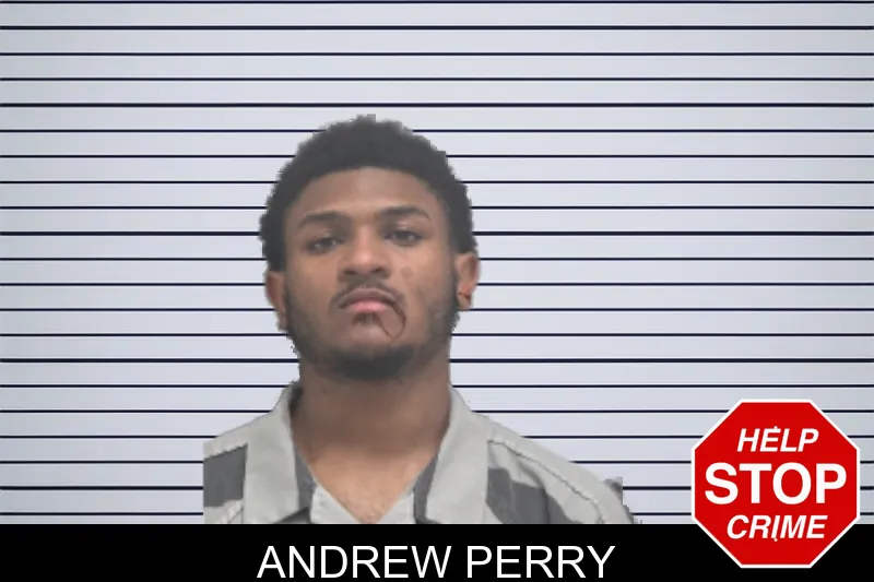 Andrew Perry mugshot