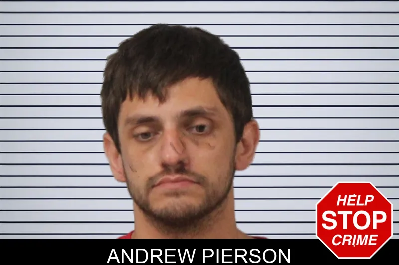 Andrew Pierson mugshot