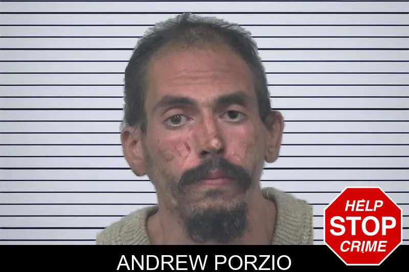 Andrew Porzio mugshot – Gwinnett County , Georgia Andrew Porzio mugshot