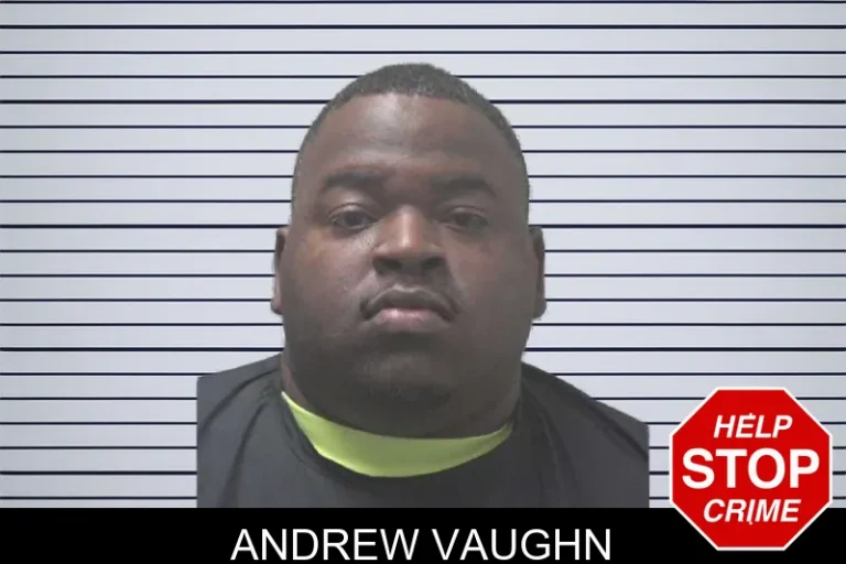 Andrew Vaughn