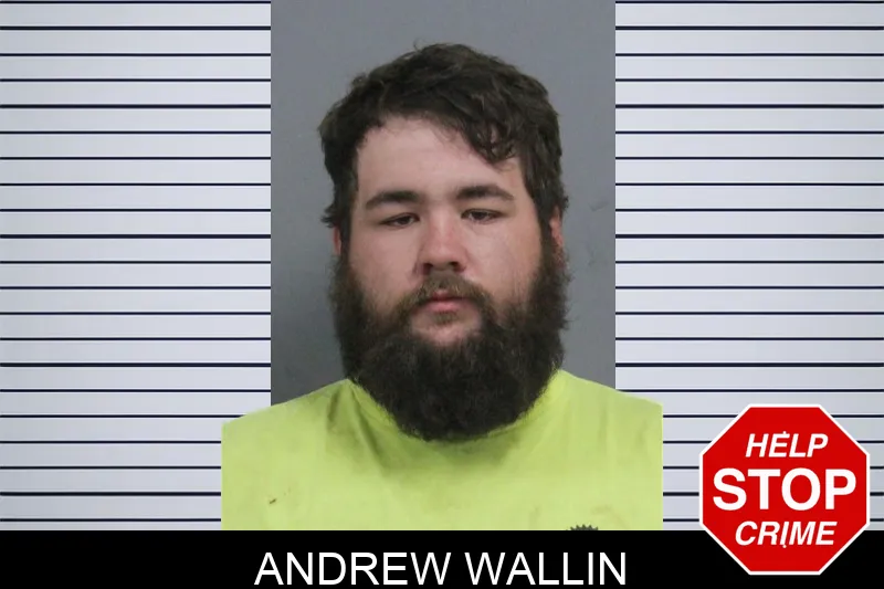 Andrew Wallin mugshot