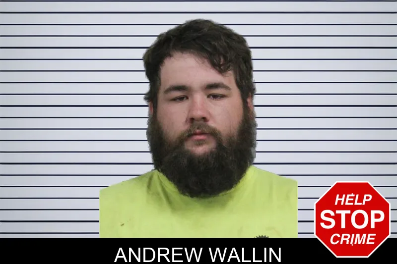 Andrew Wallin mugshot