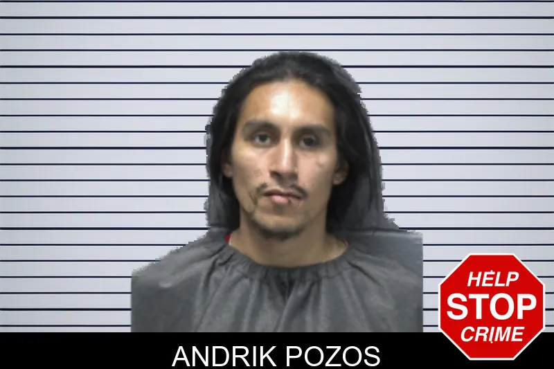 Andrik Pozos mugshot