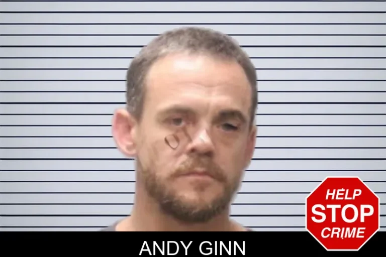 Andy Ginn