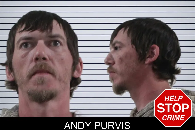 Andy Purvis mugshot – Houston County , Georgia Andy Purvis mugshot
