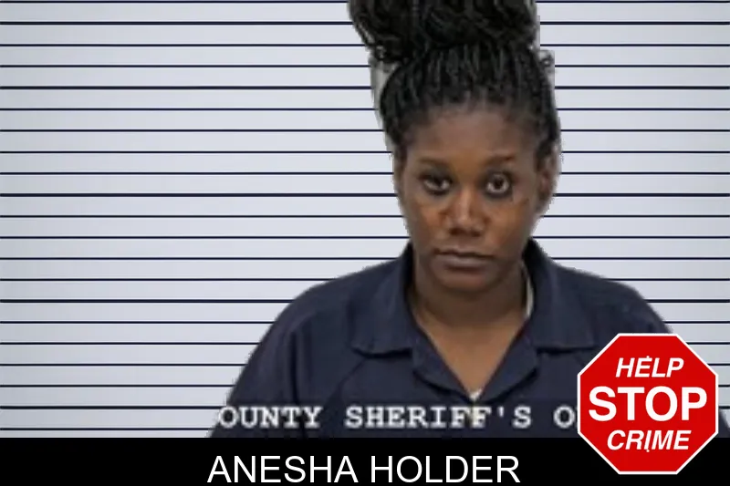 Anesha Holder mugshot