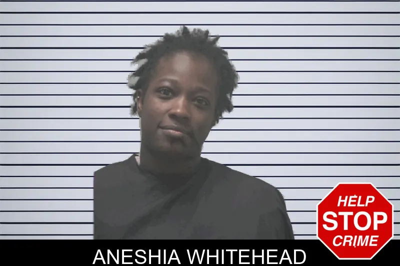 Aneshia Whitehead mugshot – Coweta County , Georgia Aneshia Whitehead mugshot