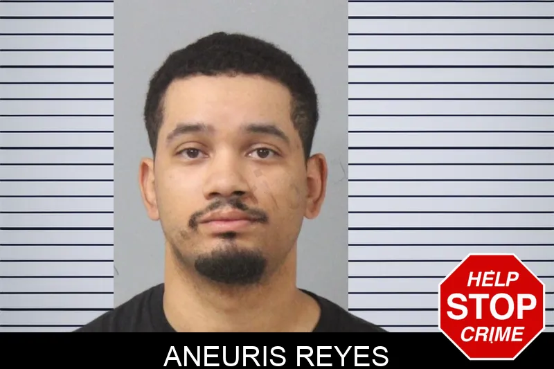 Aneuris Reyes mugshot