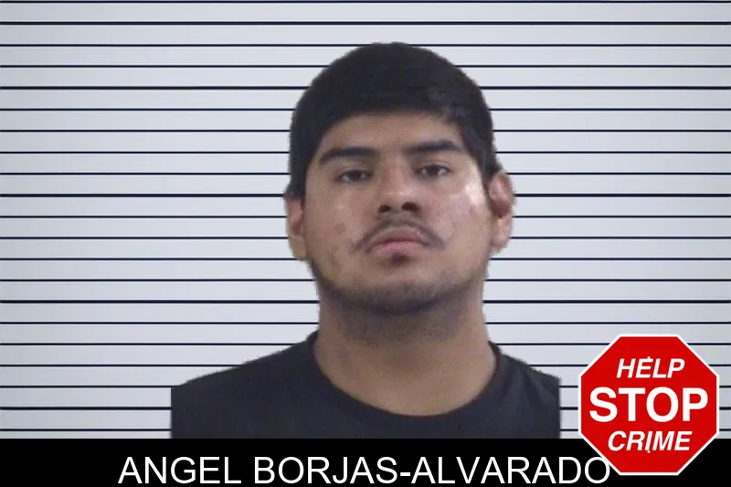Angel Borjas-Alvarado mugshot
