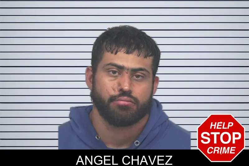 Angel Chavez mugshot