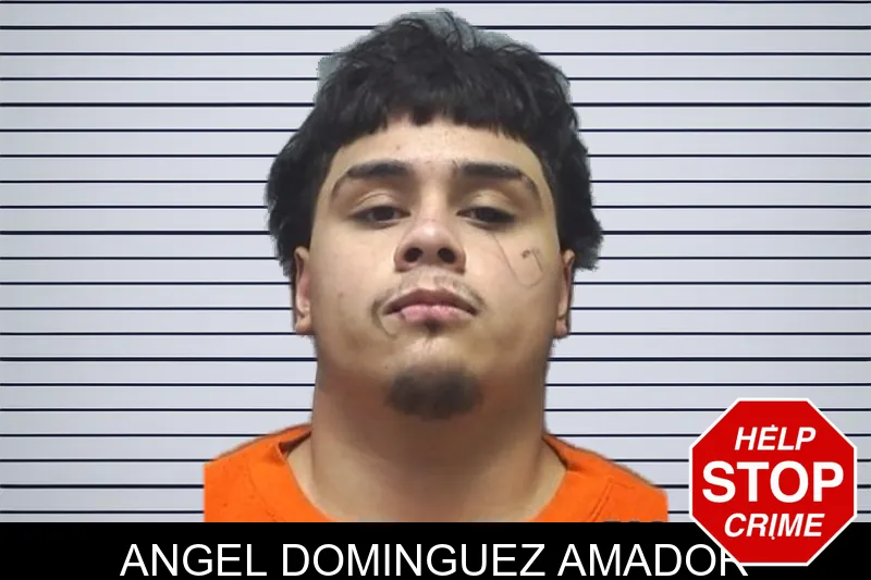Angel Dominguez Amador mugshot